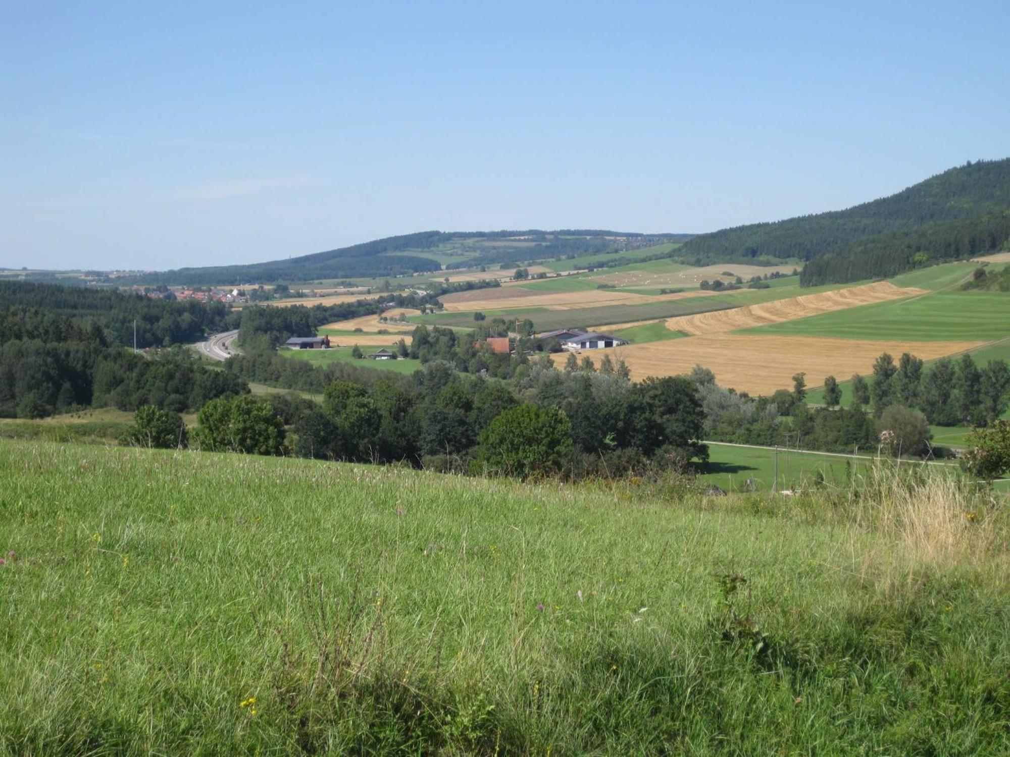 Haus Rehblick Apartamento Bräunlingen Exterior foto